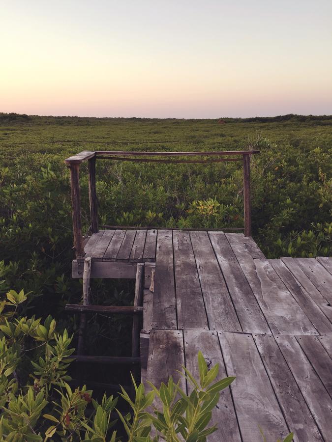 Nativus Glamping&Cenote Tulum Hotel Exterior foto