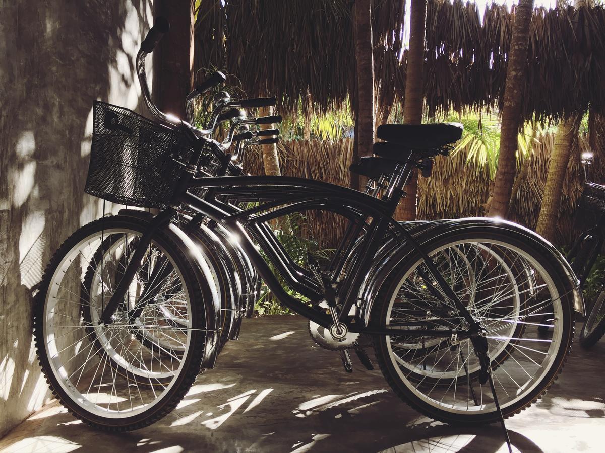 Nativus Glamping&Cenote Tulum Hotel Exterior foto