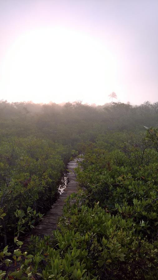 Nativus Glamping&Cenote Tulum Hotel Exterior foto