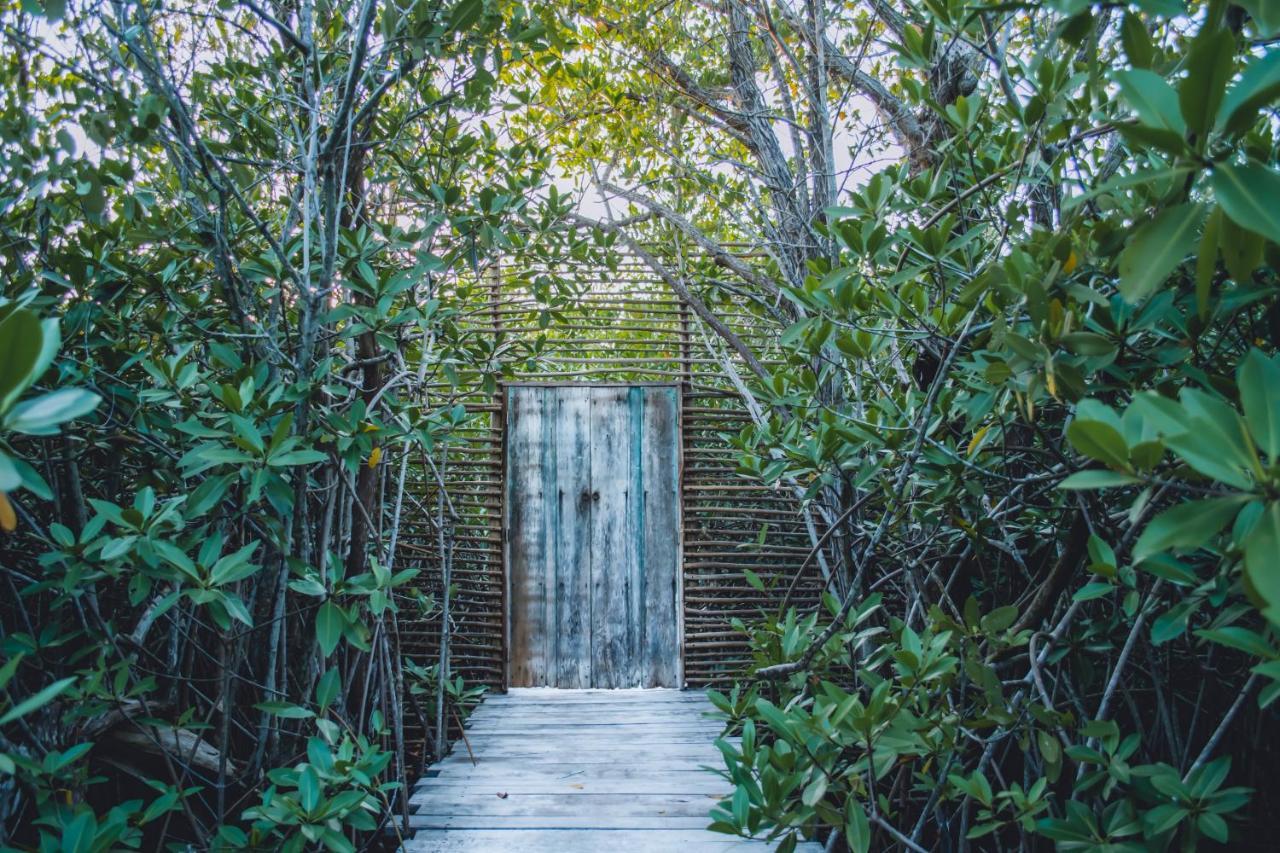 Nativus Glamping&Cenote Tulum Hotel Exterior foto